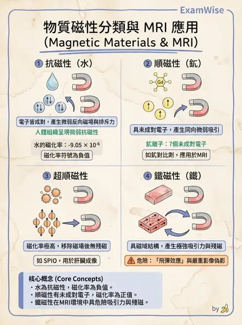 放射 - 磁振造影原理 - AI 圖文解析預覽