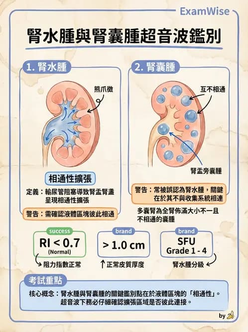 放射 - 腎臟血管與其他超音波 - AI 圖文解析預覽