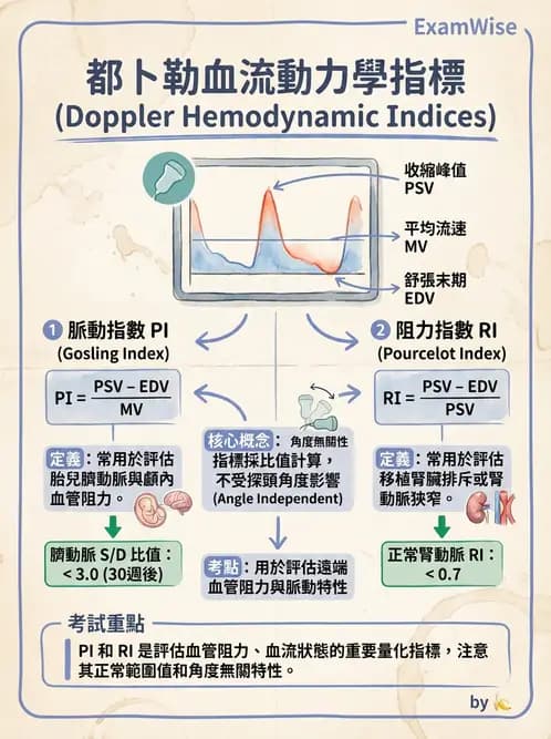 放射 - 超音波物理與技術 - AI 圖文解析預覽