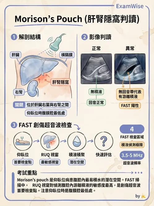 放射 - 腎臟血管與其他超音波 - AI 圖文解析預覽