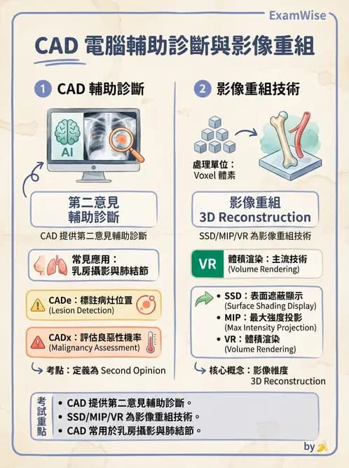 放射 - PACS、DICOM與遠距醫學 - AI 圖文解析預覽