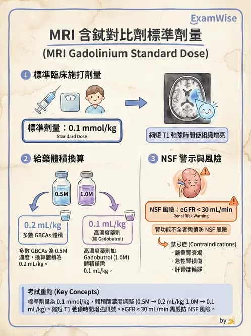 放射 - MRI安全與顯影劑 - AI 圖文解析預覽