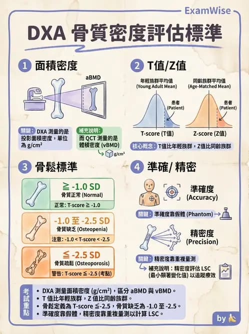 放射 - 乳房攝影與其他特殊檢查 - AI 圖文解析預覽