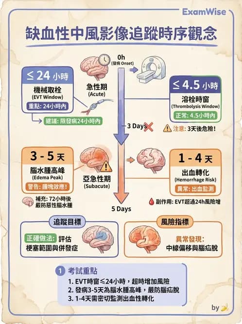 放射 - 頭頸部CT診斷 - AI 圖文解析預覽