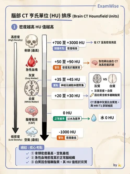 放射 - CT物理原理與掃描技術 - AI 圖文解析預覽