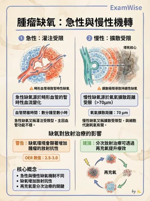 放射 - LET、RBE、OER與復氧效應 - AI 圖文解析預覽