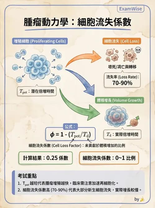 放射 - 細胞與腫瘤動力學 - AI 圖文解析預覽