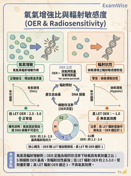 放射 - LET、RBE、OER與復氧效應 - AI 圖文解析預覽