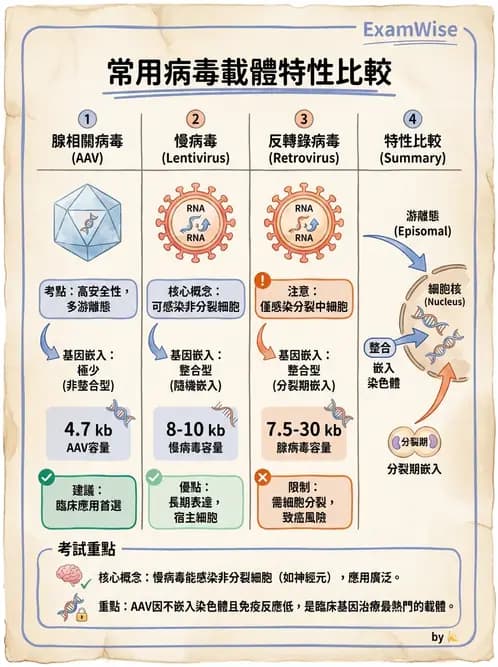放射 - 輻射生物分子技術 - AI 圖文解析預覽