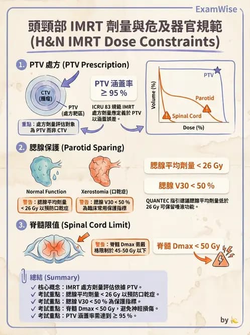放射 - 疾病部位計畫與危急器官保護 - AI 圖文解析預覽