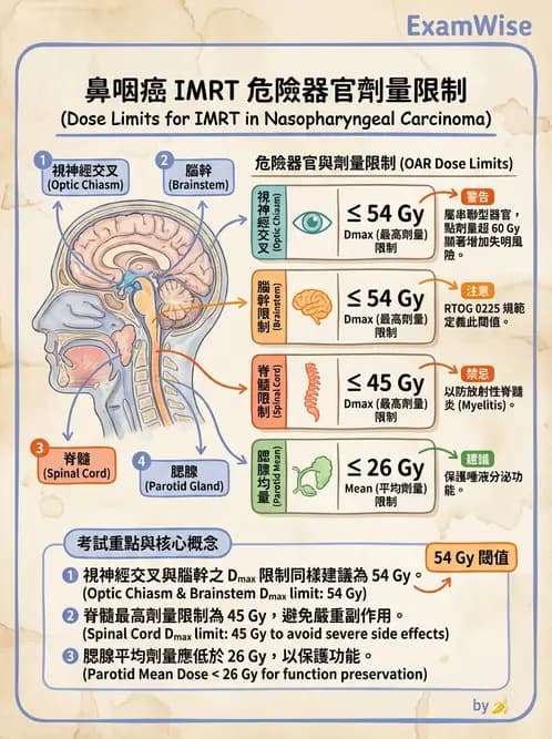 放射 - 疾病部位計畫與危急器官保護 - AI 圖文解析預覽