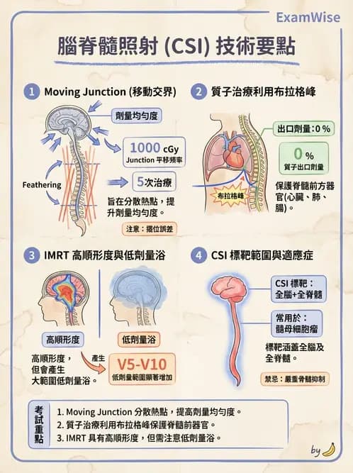 放射 - 疾病部位計畫與危急器官保護 - AI 圖文解析預覽