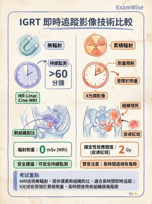 放射 - 影像導引放射治療(IGRT)與臨床應用 - AI 圖文解析預覽