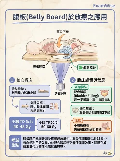 放射 - 放射治療技術與影像計畫 - AI 圖文解析預覽