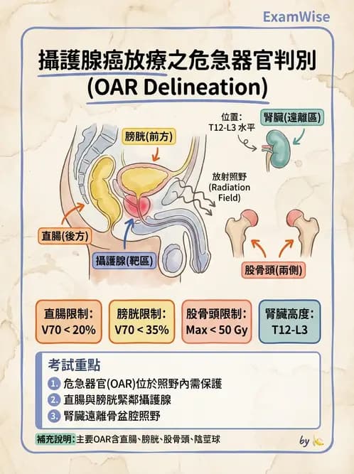 放射 - 疾病部位計畫與危急器官保護 - AI 圖文解析預覽