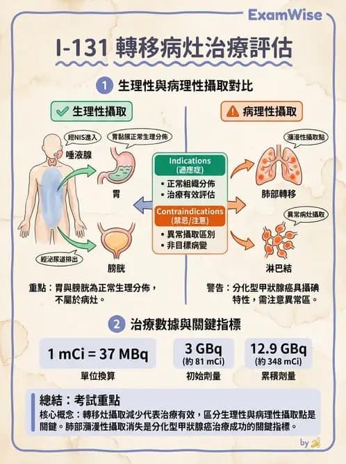 放射 - 腫瘤治療 - AI 圖文解析預覽