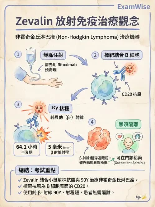 放射 - 腫瘤治療 - AI 圖文解析預覽