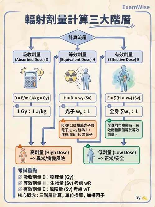 放射 - 體內吸收劑量 - AI 圖文解析預覽