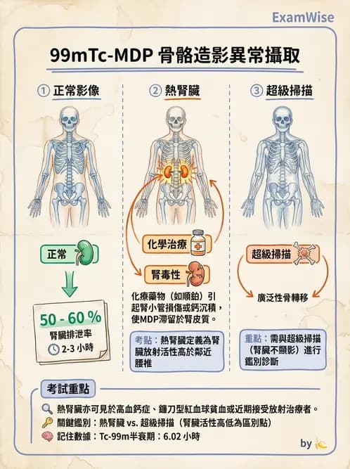 放射 - 骨骼與發炎造影SPECT藥物 - AI 圖文解析預覽