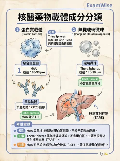 放射 - 治療用核醫藥物 - AI 圖文解析預覽