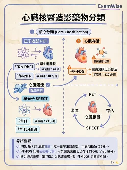 放射 - PET藥物基礎與心臟造影 - AI 圖文解析預覽