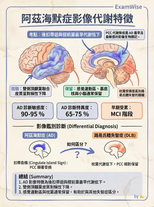 放射 - 腦部造影 - AI 圖文解析預覽
