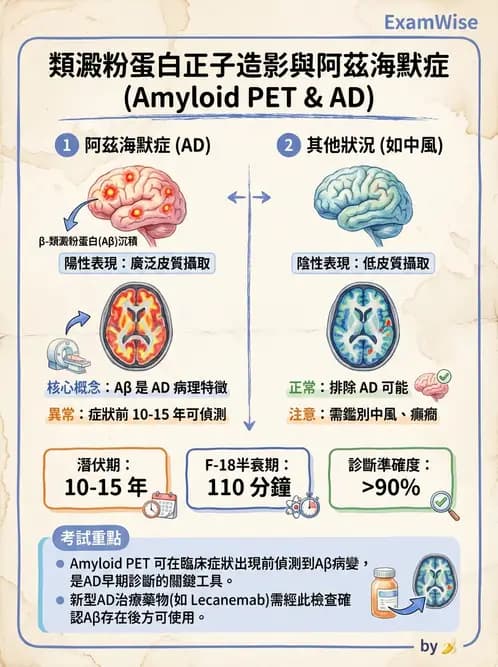 放射 - 腦部造影 - AI 圖文解析預覽