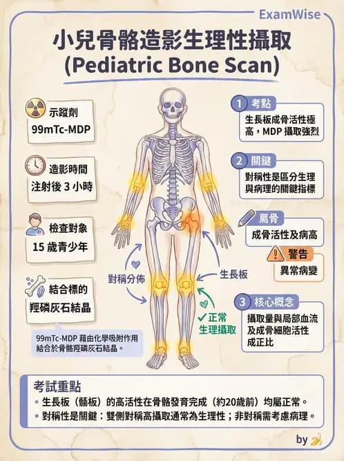 放射 - 骨骼造影 - AI 圖文解析預覽