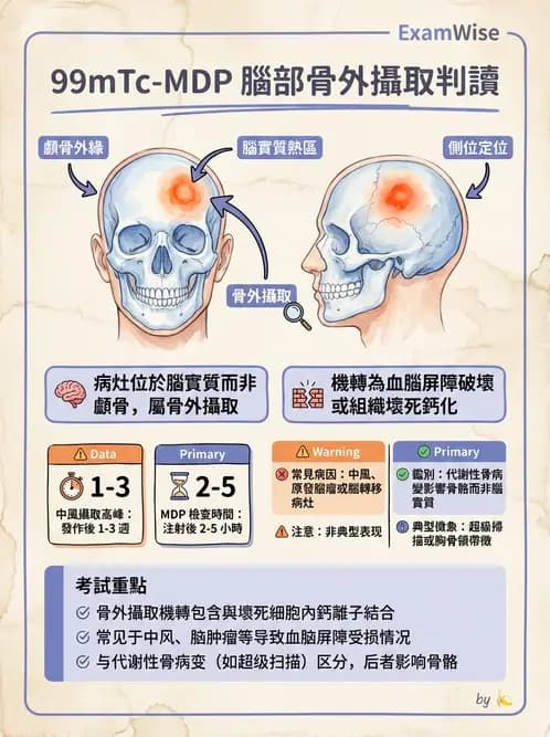 放射 - 骨骼造影 - AI 圖文解析預覽