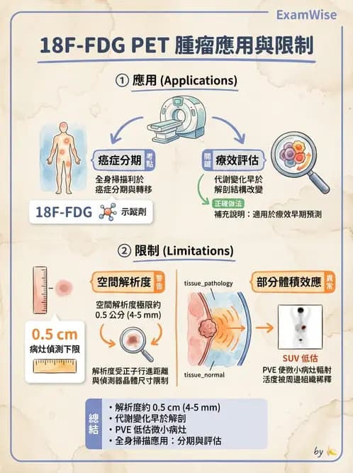 放射 - FDG PET造影 - AI 圖文解析預覽