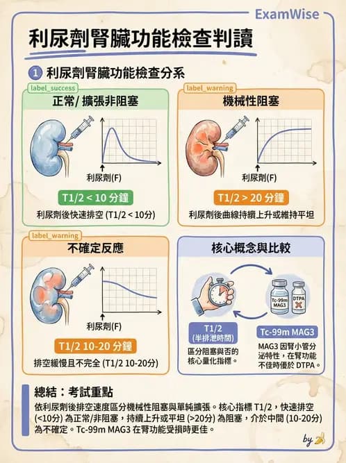 放射 - 腎臟造影 - AI 圖文解析預覽