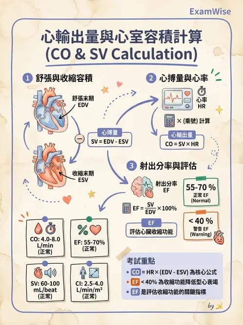 放射 - 心血管生理 - AI 圖文解析預覽
