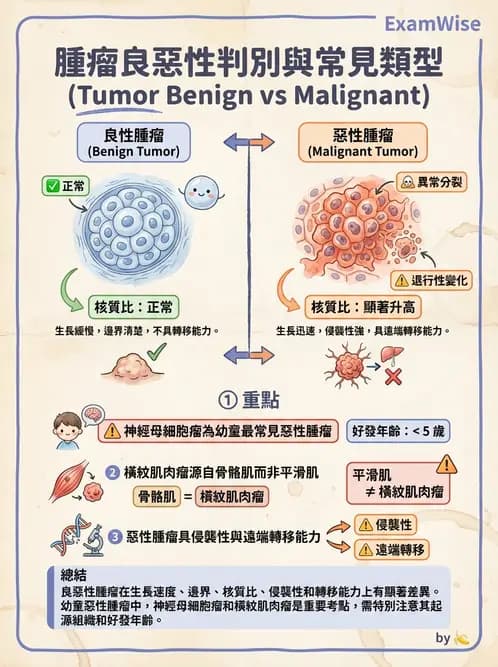 放射 - 惡性腫瘤 - AI 圖文解析預覽