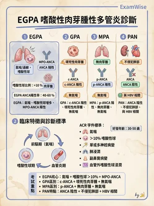 放射 - 心臟及血管疾病 - AI 圖文解析預覽