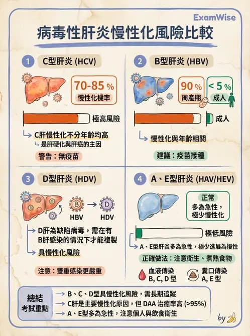 放射 - 肝臟、膽道及胰臟疾病 - AI 圖文解析預覽