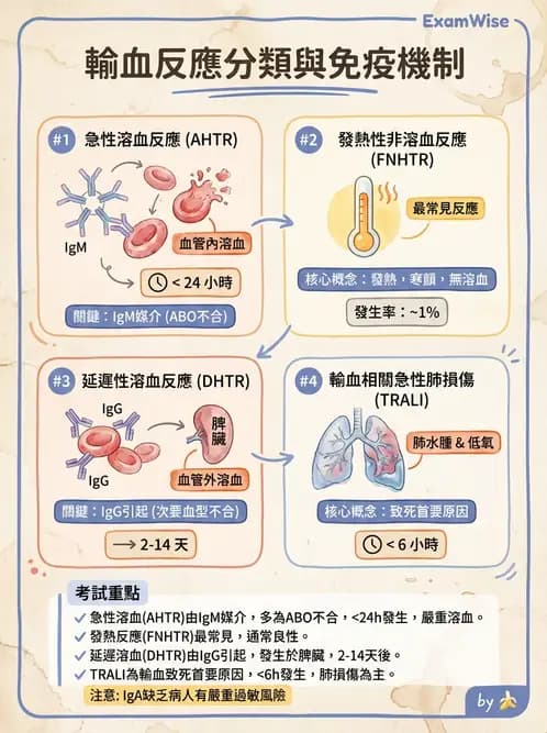 放射 - 造血及淋巴系統疾病 - AI 圖文解析預覽