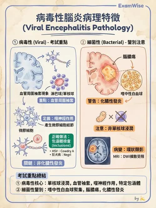 放射 - 神經系統疾病 - AI 圖文解析預覽