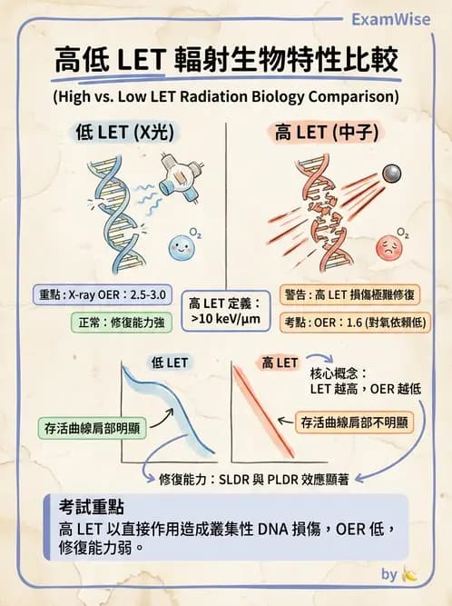 放射 - 輻射物理生物基礎 - AI 圖文解析預覽