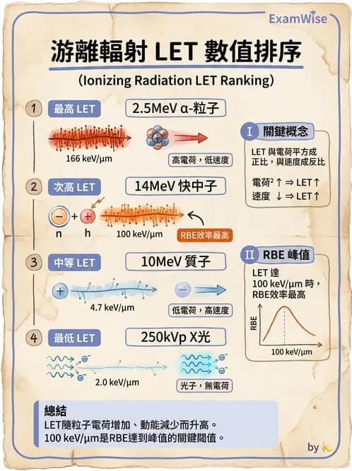 放射 - 輻射物理生物基礎 - AI 圖文解析預覽
