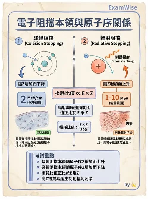 放射 - 帶電粒子與中子和物質作用 - AI 圖文解析預覽