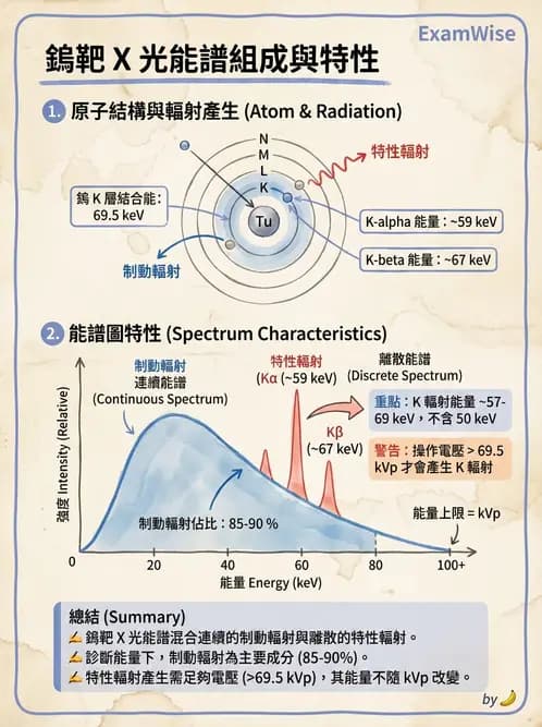 放射 - X光產生與特性 - AI 圖文解析預覽