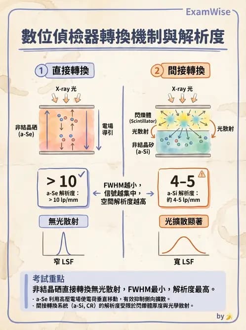 放射 - 透視與數位影像 - AI 圖文解析預覽