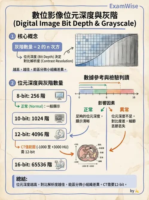 放射 - 透視與數位影像 - AI 圖文解析預覽