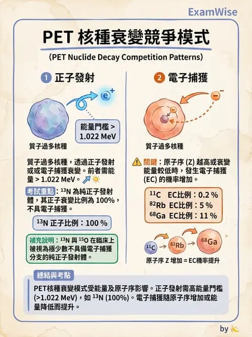 放射 - 放射性蛻變模式 - AI 圖文解析預覽