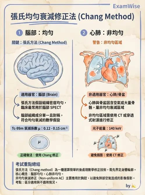 放射 - 核子醫學物理 - AI 圖文解析預覽