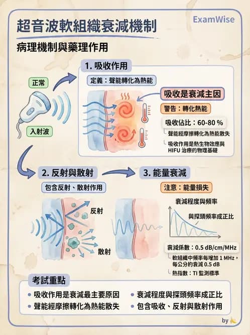 放射 - 超音波物理與換能器 - AI 圖文解析預覽