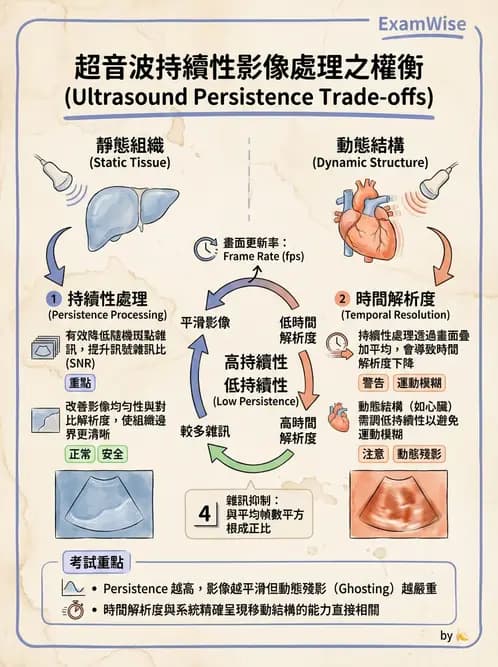 放射 - 超音波成像與都卜勒 - AI 圖文解析預覽