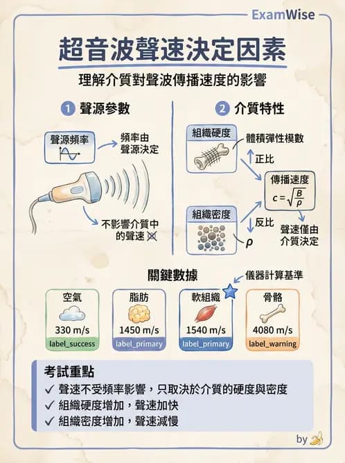放射 - 超音波物理與換能器 - AI 圖文解析預覽