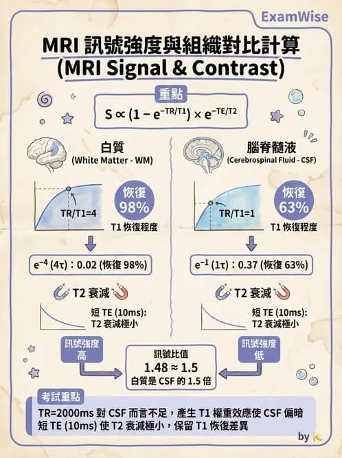 放射 - MRI基本物理與弛緩 - AI 圖文解析預覽