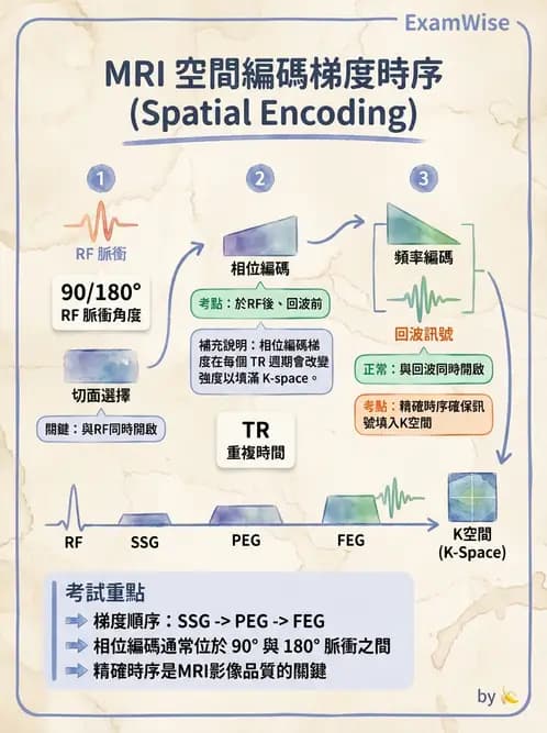 放射 - 空間編碼與影像品質 - AI 圖文解析預覽